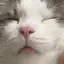 るうのプロフィール画像