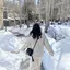 ねんのプロフィール画像