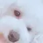ありさのプロフィール画像
