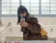 ひなのプロフィール画像