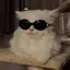 めろのプロフィール画像