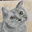 あやのプロフィール画像