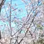 きよのプロフィール画像