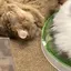 たぐさんのプロフィール画像