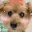 みさのプロフィール画像