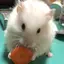 ゆきまるのプロフィール画像