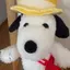 のぶちのプロフィール画像