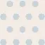 ⭐️のプロフィール画像