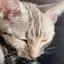 りりりのプロフィール画像