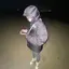 萌愛のプロフィール画像