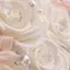 momoのプロフィール画像