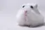 りなのプロフィール画像