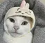 ひまのプロフィール画像