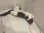 よしこのプロフィール画像
