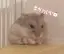 ゆかのプロフィール画像