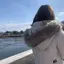 Rinaのプロフィール画像