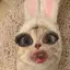 千のプロフィール画像