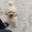 Rumiのプロフィール画像