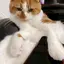 みーのプロフィール画像