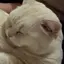 冬のプロフィール画像