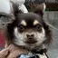ひかるのプロフィール画像