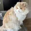紘輝のプロフィール画像