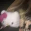 りのプロフィール画像