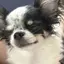 みのプロフィール画像