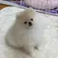えみのプロフィール画像