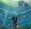 なのプロフィール画像