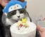 翔基のプロフィール画像