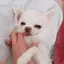 hiiiのプロフィール画像