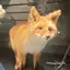 になのプロフィール画像