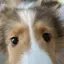 Mのプロフィール画像