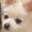 いちゃんのプロフィール画像