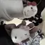 Rのプロフィール画像