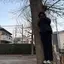ちまのプロフィール画像