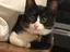 anのプロフィール画像