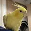 きむこのプロフィール画像