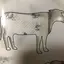 かめのプロフィール画像