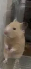 優花のプロフィール画像