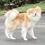 かのんのプロフィール画像
