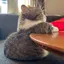 なーこのプロフィール画像