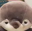まりなのプロフィール画像
