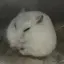 朋巳のプロフィール画像