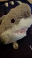 さめのプロフィール画像