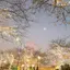 ゆうのプロフィール画像