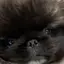 るなのプロフィール画像
