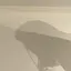 やまのプロフィール画像