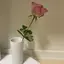 さきのプロフィール画像